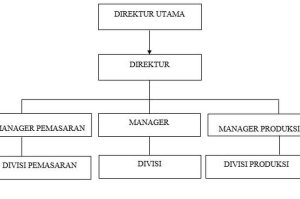 Mengenal Struktur Organisasi Perusahaan Yang Efektif Fondasi Pertumbuhan Dan Keberlanjutan Bisnis